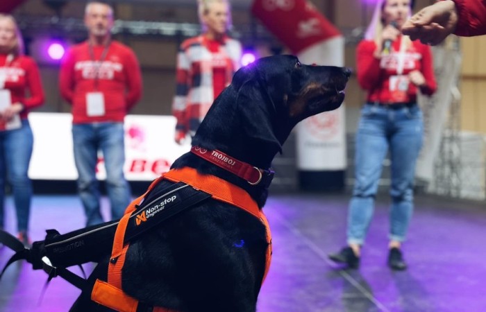 307584295_584739623446466_6152883406063785128_n